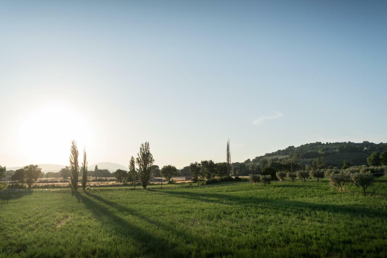 Bed & Breakfast Al Pian D'Assisi Eksteriør billede