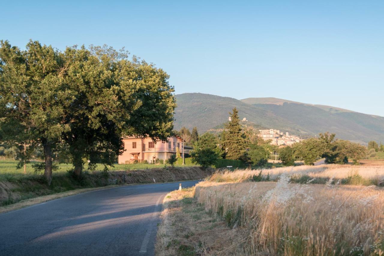 Bed & Breakfast Al Pian D'Assisi Eksteriør billede